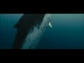 Part of the Documentary  Oceans( whales)