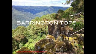 BARRINGTON TOPS