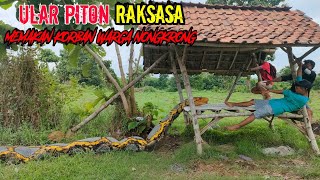 Video Lucu || Prank Ular Piton Terlaknat || Funniest Snake Prank #prank #snakeprankongirls