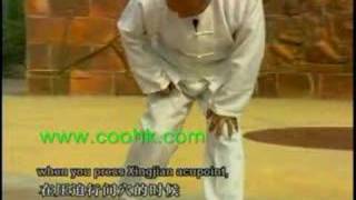 Wu Style Tai Chi : 8 methods for Treating Diabetes DW160-01c