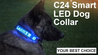 C24 Smart LED Dog Collar | Dog Training Collar 🐶