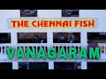 Vanagaram Fish Market (Wholesale/Retail) | SparkBox Aerial Filming