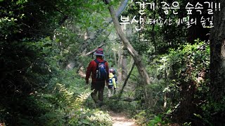 [부산여행] 태종대 비밀의 숲 2탄