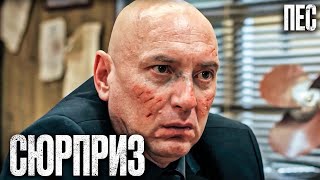 🎬 НЕОЧІКУВАНИЙ ПОДАРУНОК - Цікавий ДЕТЕКТИВ 2023 - Серіал ПЕС 2023 - Найкращі серії