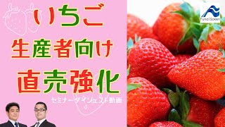 いちご生産者様向け！直売事業拡大の方法【船井総研セミナーダイジェスト】