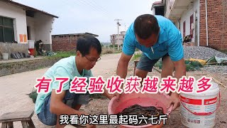 大勇抓黄鳝慢慢积累出了经验，收获也越来越多，虽然辛苦但也能赚点钱