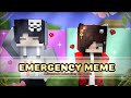 Emergency Meme - Prisma3D Minecraft Animation [ Template ] ❤️