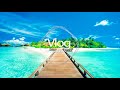 MBB Feel Good  Vlog No Copyright Sound #2