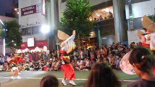 まじょるか連　２０１７高円寺阿波踊り