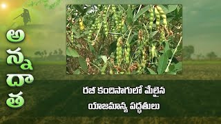 Tips for rabi redgram farming | రబీ కందిసాగులో మేలైన యాజమాన్య పద్ధతులు | ETV