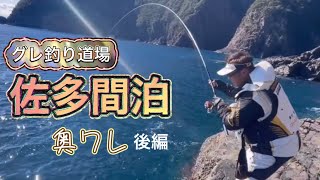 佐多間泊でグレ釣り。後編