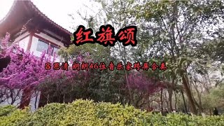 吕思清朗朗46位音乐家跨屏合奏《红旗颂》，致敬全国抗疫工作人员