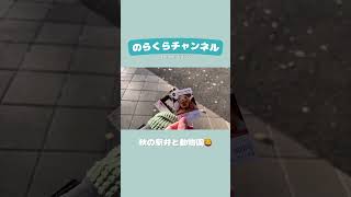 【上野動物園】両足で立ってるようじゃ無理か、米津はね片足じゃないと  #観光 #癒し #カップル #上野動物園 #弁当 #旅行