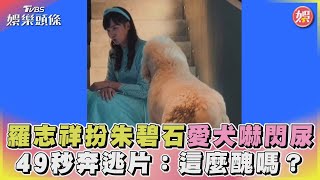 羅志祥扮朱碧石「愛犬嚇閃尿」 49秒奔逃片：這麼醜嗎？｜TVBS娛樂頭條@TVBSNEWS01