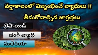 Rainy Season Diseases and prevention (వర్షాకాలంలో వ్యాధులు- జాగ్రత్తలు)