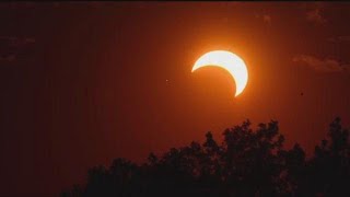 Total solar eclipse could affect animal behavior