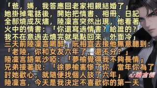 三天前陸凜言喝醉，阮相宜去接他時聽到：「老陸，你和女友還不分？」凜言沙啞：「夢榆覺得我不夠長情」兄弟：「徐夢榆害慘了你，當年你為了討她歡心，就隨便找個人談了六年」阮相宜：「爸媽，我答應回老家相親結婚」