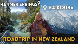 New Zealand's Hidden Gems: Hot Springs Adventure in Hanmer Springs & Kaikoura | NZ Roadtrip Vlog