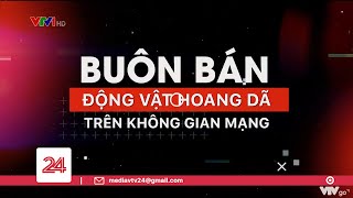 Tiêu điểm: Buôn bán động vật hoang dã trên không gian mạng | VTV24