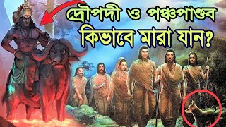 দ্রৌপদী  এবং পঞ্চপান্ডব কিভাবে মারা গিয়েছিলেন   । How Did draupadi and pancho pandob die