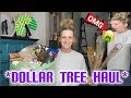 EXTRA LARGE Dollar Tree Haul | ALL NEW GREAT Items| Name Brands | You Won't Believe This!