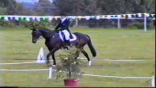 Wadin Park Horse Trials 1991