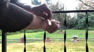 Recharge Your BioElectric Shield Outside to Assure a Lifetime of Personal Energy Protection