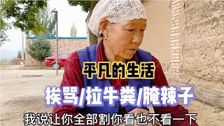 山区回族老奶奶生了两天病，又嫌弃女儿又把什么没干好？