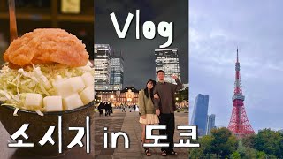 🍙 도쿄 2만보 걷는 태교여행 ep2 | 아키하바라, 도쿄타워, 도쿄역 야경, 모헤지 몬자야끼