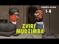 Zviri Mudzimba (Compilation 1-6)