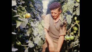 Tussen Maas en Waal 16mm film eind 1960 over de Bommelerwaard