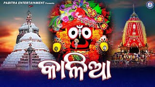 Bara Mase Tora Barati Na Re Kalia | Shree Jagannath Bhajan | Odia Bhajan Song #OdiaBhaktisagar