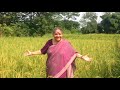 Vandana Shiva's message