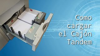 Como cargar un tándem/cajón de gran capacidad 📥 #eltecnicodelaimpresora🧑🏻‍🔧🖨️