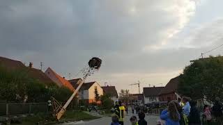 Maibaum bricht beim Aufstellen in Untersulmetingen