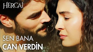 Reyyan, ailesine karşı Miran'ı savundu - Hercai Efsane Sahneler