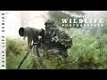 Wildlife Photography in Stealth Mode - 5 days at work with pro photographer