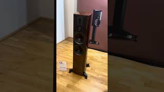 Dali Epikore 7 - 20000 EUR #hifi #loudspeaker #bass #hifisound #highendaudio #loudspeakers