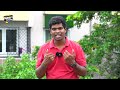 செட்டிநாடு சீனி பணியாரம் seeni paniyaram recipe in tamil cdk 589 chef deena s kitchen