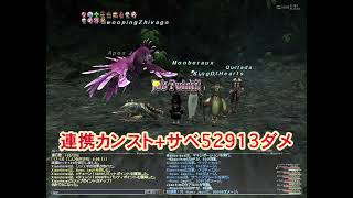 FF11【続編】獣使いペットサベッジ光2連携カンスト99999ダメージ【ドー門:コウモリ・魚・カニ編】BST hits for 99999 SC 【ENG Sub】 #ff11#ffxi #mmo