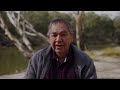 Why We Do Acknowledgement of Country: NAIDOC Week 2022