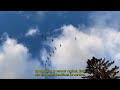 Why do Birds Fly South For the Winter?