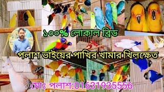 ১০০%  লোকাল পাখি কিনুন পলাশ ভাইয়ের খামার থেকে। লোকেশন : খিলক্ষেত উত্তরপাড়া, মোবাইল ০১৬৩১৯৩৫৫৫৬//🦜।