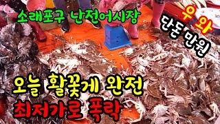 생새우1만원~2만원 황석어1키로1만원 디포리1말1만원 갯가재1키로1만원 밴댕이1키로1만원 장대1바구니1만원 등 오늘 시세 엄청 좋네요