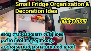 നമ്മുടെ ഫ്രിഡ്ജിൽ അത്യാവശ്യം ഇവയൊക്കെ വേണം/How To Store Indian Grocery/Small Fridje Organization Tip