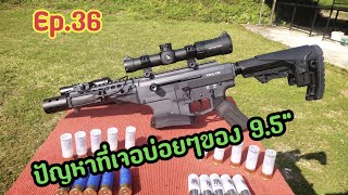 Derya Mk12 ปัญหาที่ 9.5\