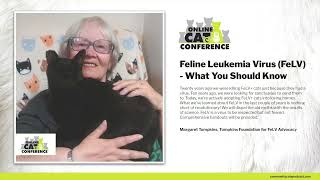 Feline Leukemia Virus (FeLV) - What You Should Know | Margaret Tompkins | OCC 2023