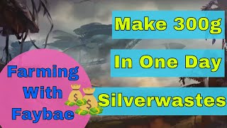 A Beginner's Guide to the Silverwastes Gold Farm || Farming with Faybae