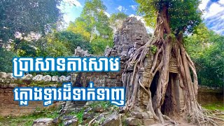 ប្រាសាទតាសោម បុណ្យទន្លេ ក្រុងសៀមរាប