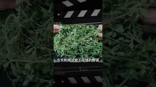 立春后野菜迎春而生，不花錢做出美味，香嫩營養益處多，變廢為寶 #美食 #做飯 #中餐 #家常菜 #菜譜